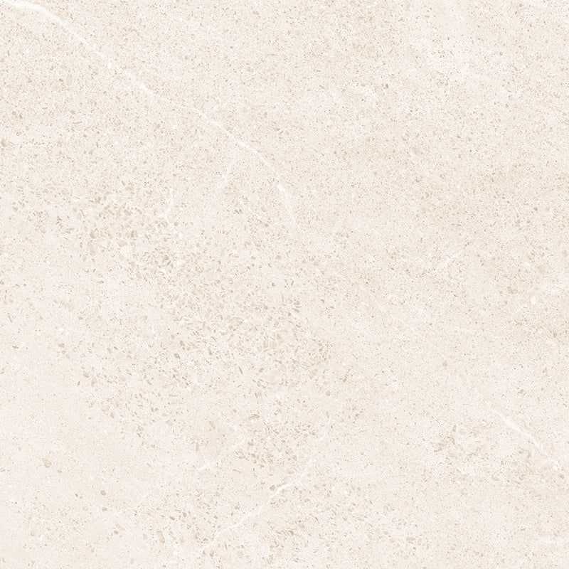 Natuursteenlook | Vloertegel XXL | 100x100 | Excellent Light