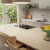 Trendline | Kookplaat met Afzuiging